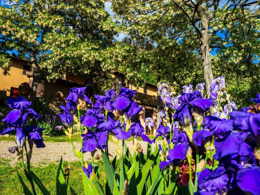 Agriturismo Verde Oliva Villa Bagno A Ripoli Bagian luar foto